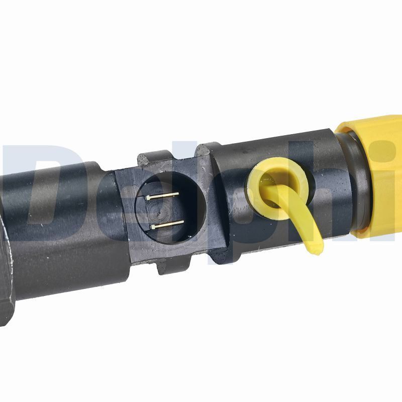 DELPHI R00504Z-12B1 Injector