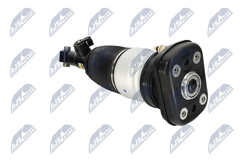 Amort, NTY A-BM-101