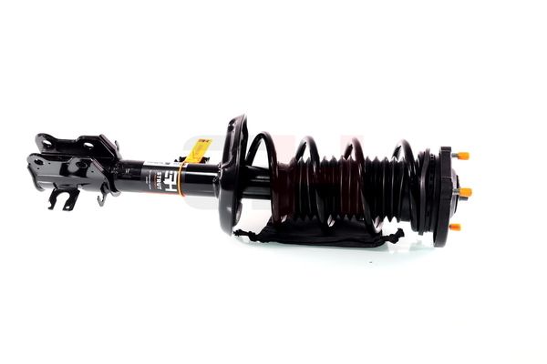 Vedruamort, GH GH-352388C01