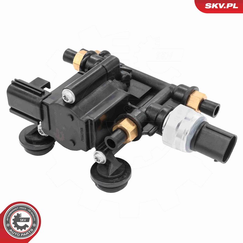 ESEN SKV 93SKV823 Pneumatinės sistemos vožtuvas