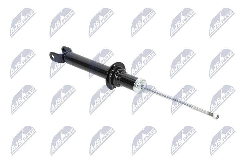 Amort, NTY A-CH-055
