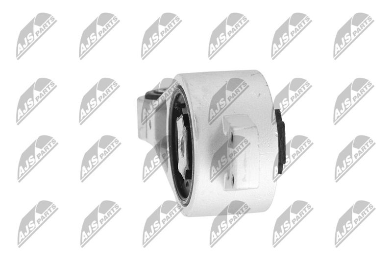 Paigutus, Mootor, NTY ZPS-CH-056