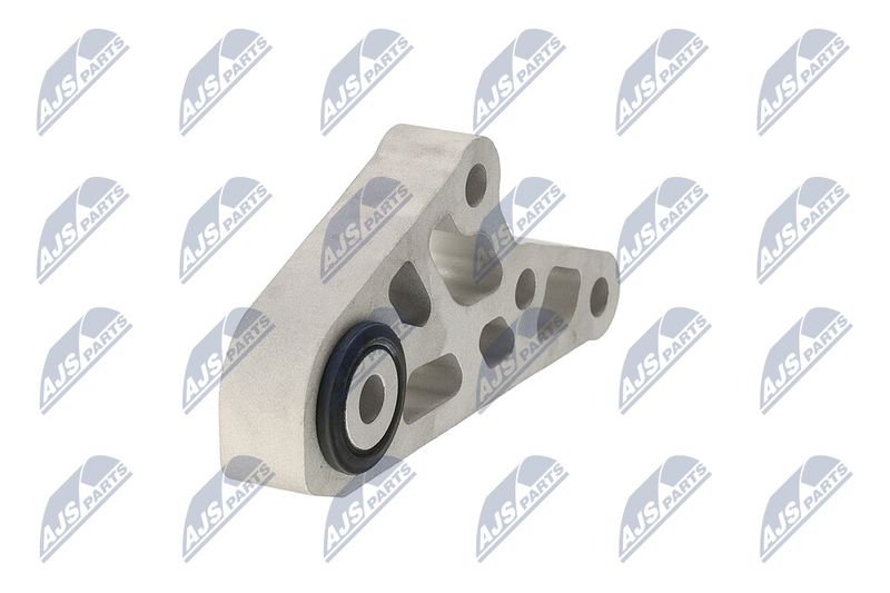 Paigutus, Mootor, NTY ZPS-CH-119