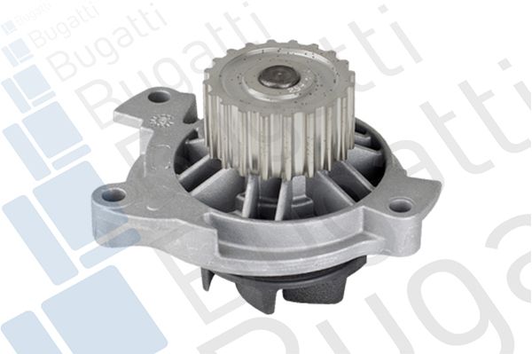 PA5928.JPG