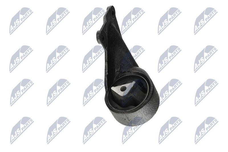 Paigutus, Mootor, NTY ZPS-CH-004