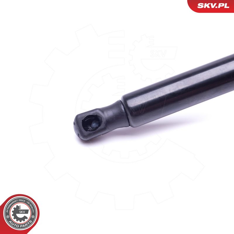 Gaasivedru, pagasi-, veoruum, ESEN SKV 52SKV529