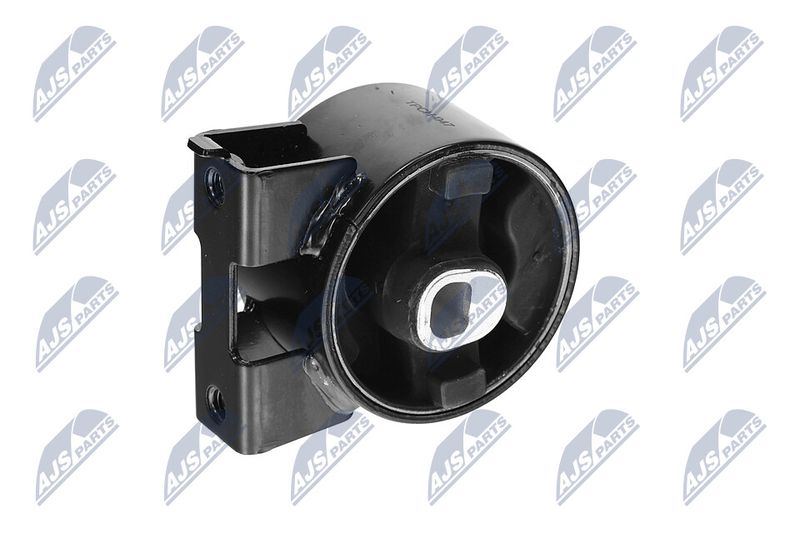 Paigutus, Mootor, NTY ZPS-CH-047