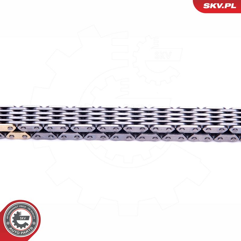 Mootori keti komplekt, ESEN SKV 21SKV217