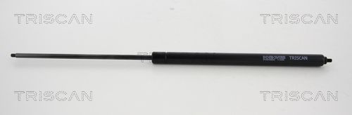 TRIS8710819488600.JPG