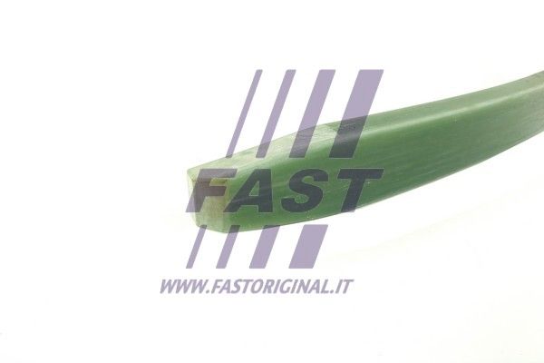 FT13371_2_1.JPG
