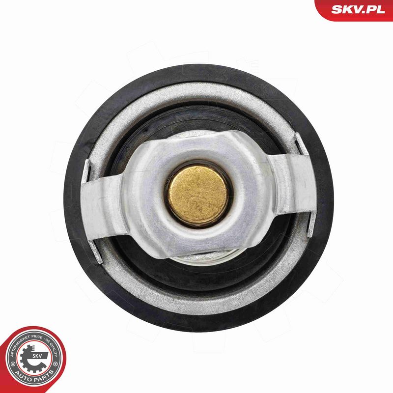 ESEN SKV 20SKV244 Termostatas