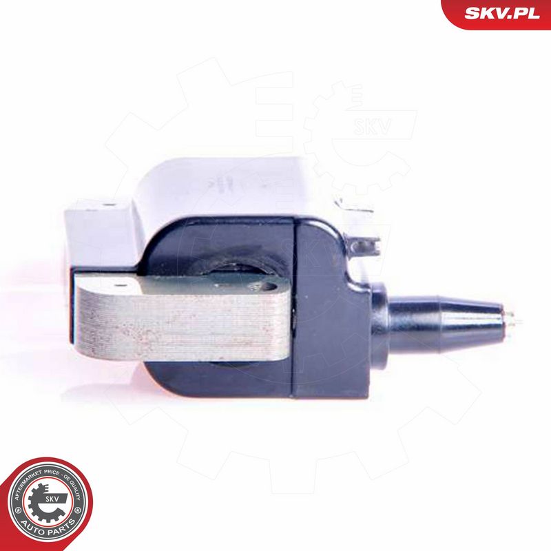 ESEN SKV 03SKV042 Ignition Coil