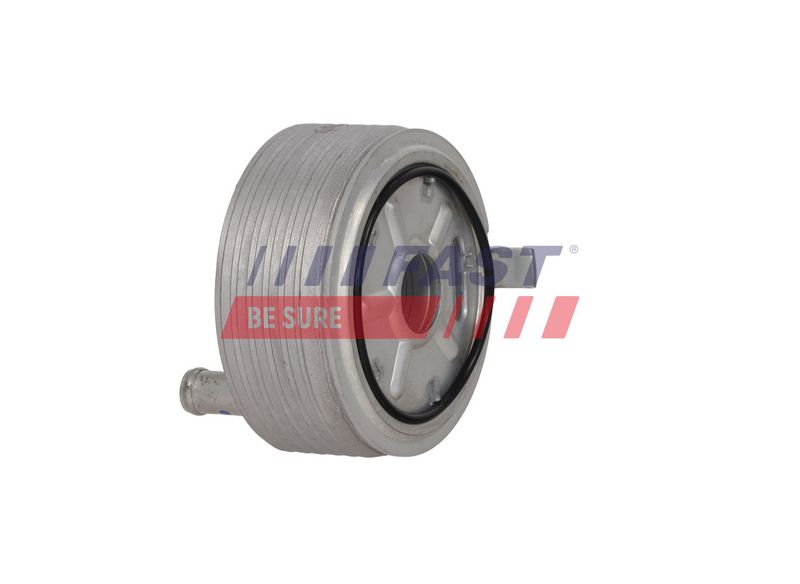 OEM код товара: 213055M300