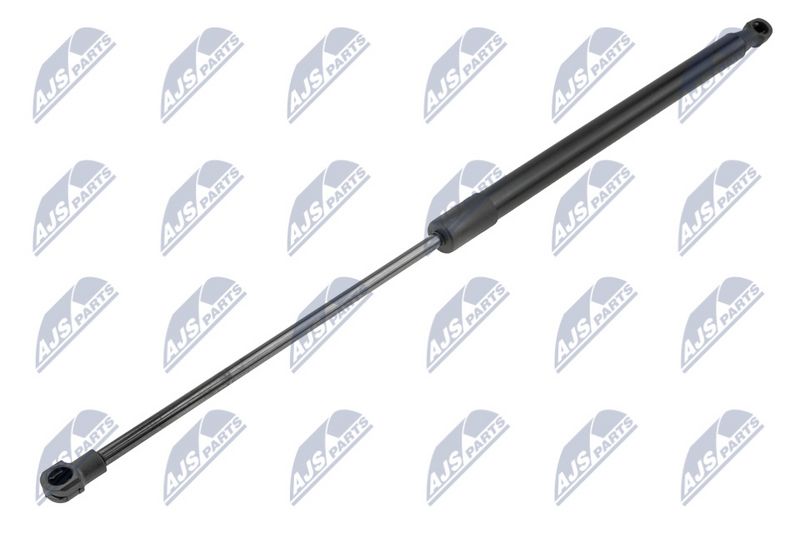 NTY AE-PE-036 Gas Spring, boot/cargo area