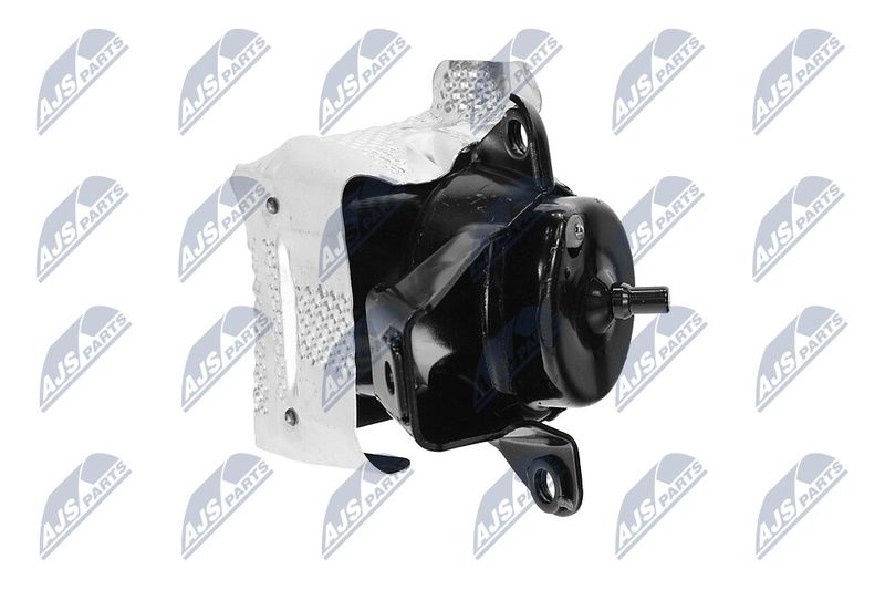 Paigutus, Mootor, NTY ZPS-CH-151