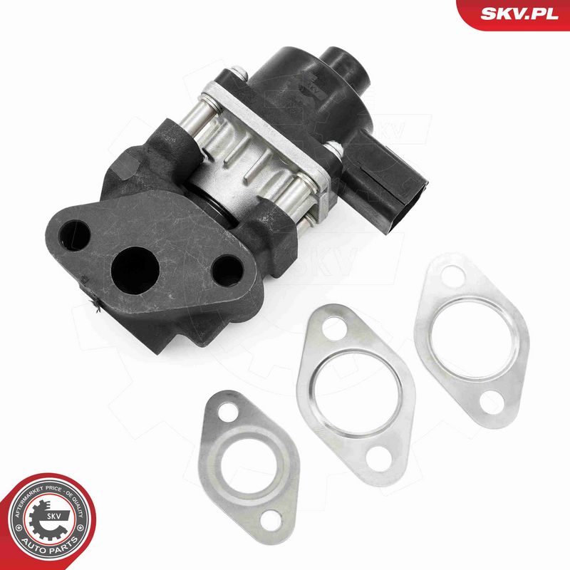 ESEN SKV 14SKV260 EGR Valve