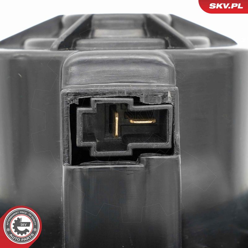 Salongipuhur, ESEN SKV 68SKV191