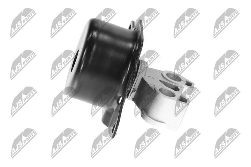 Paigutus, Mootor, NTY ZPS-PL-053