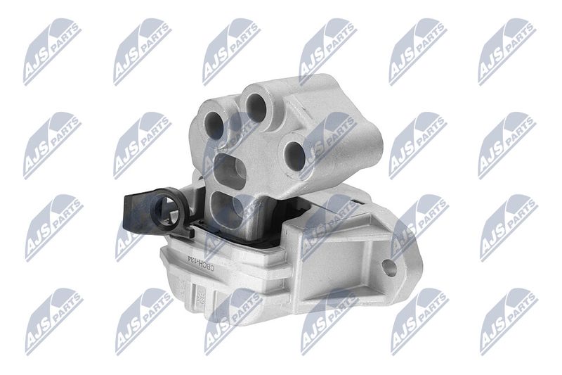 Paigutus, Mootor, NTY ZPS-CH-134