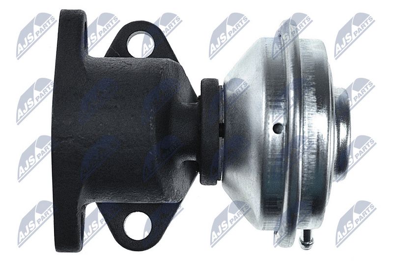 EGR-klapp, NTY EGR-AU-016