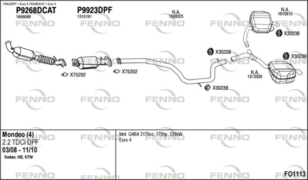 FO1113.JPG