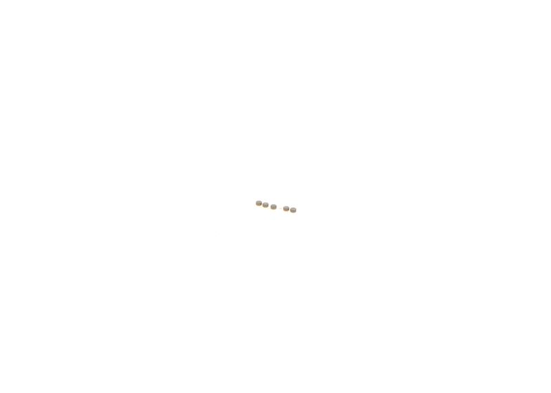 BOSCH F00ZC99735 Common Rail sistemos remonto komplektas