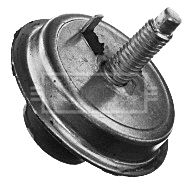 BEM4079_210861.JPG