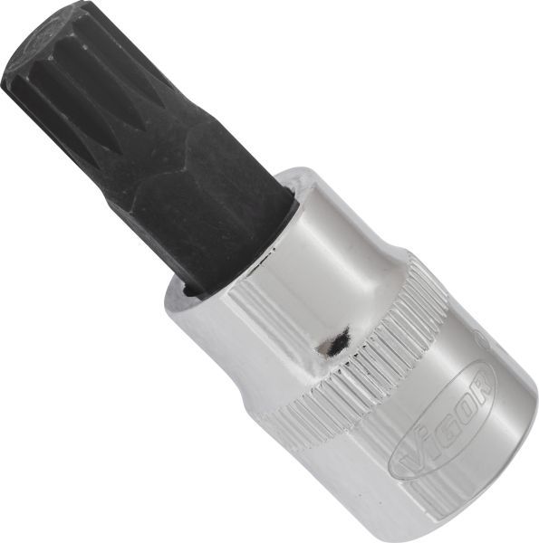 Padrun, VIGOR V6110