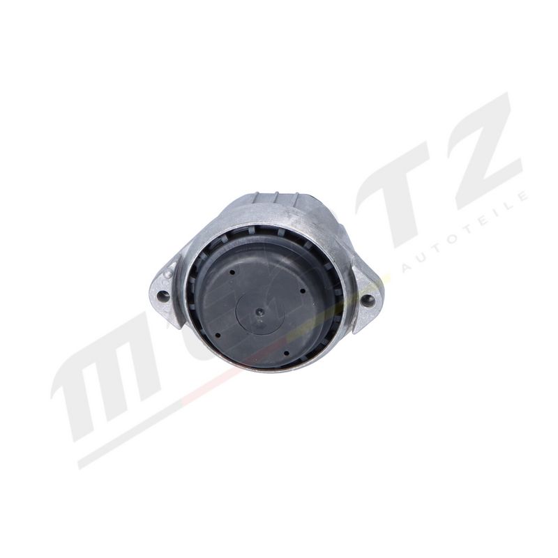 MERTZ M-S5297 Mounting, engine