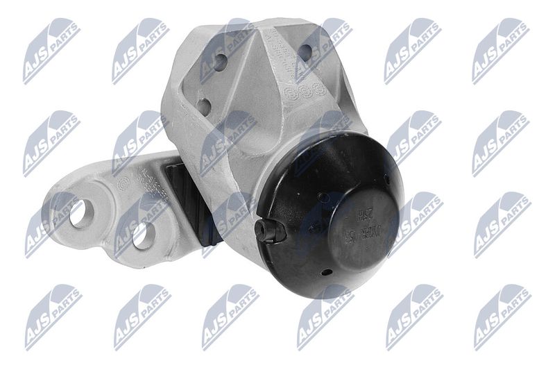 Paigutus, Mootor, NTY ZPS-FR-053