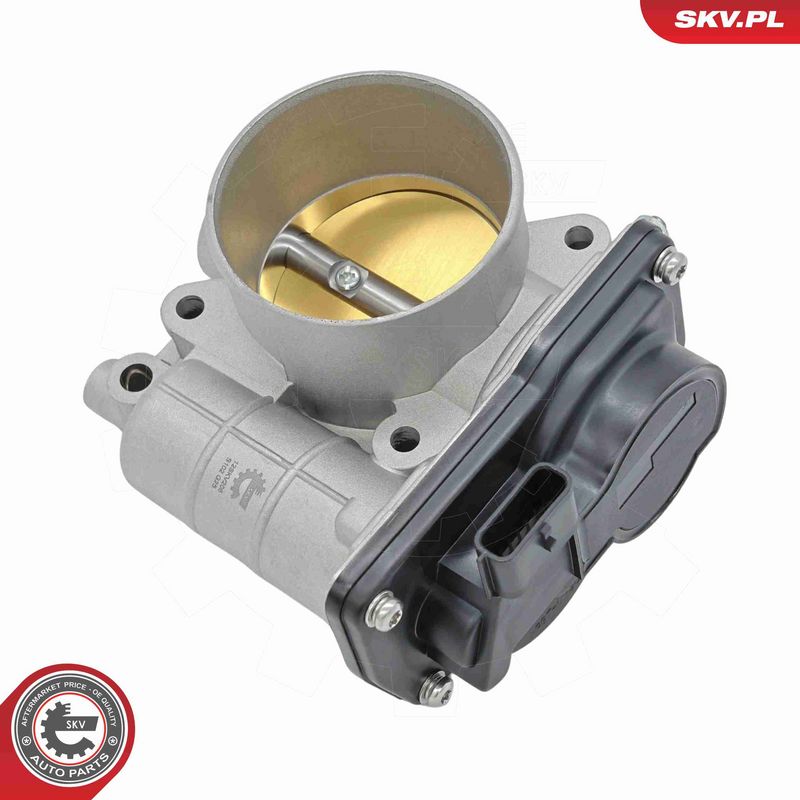 ESEN SKV 12SKV206 Throttle Body