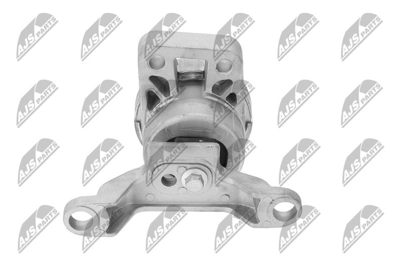 Paigutus, Mootor, NTY ZPS-FR-033