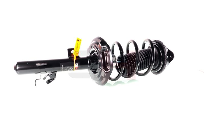 Vedruamort, GH GH-352295C01