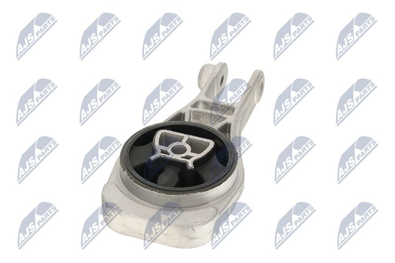 Paigutus, Mootor, NTY ZPS-PL-079