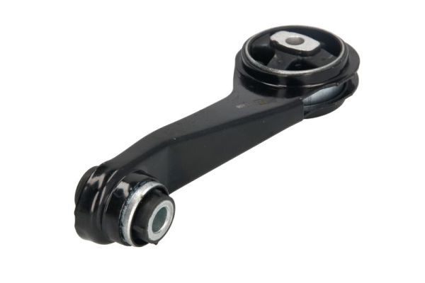 REINHOCH RH11-2077 Mounting, engine
