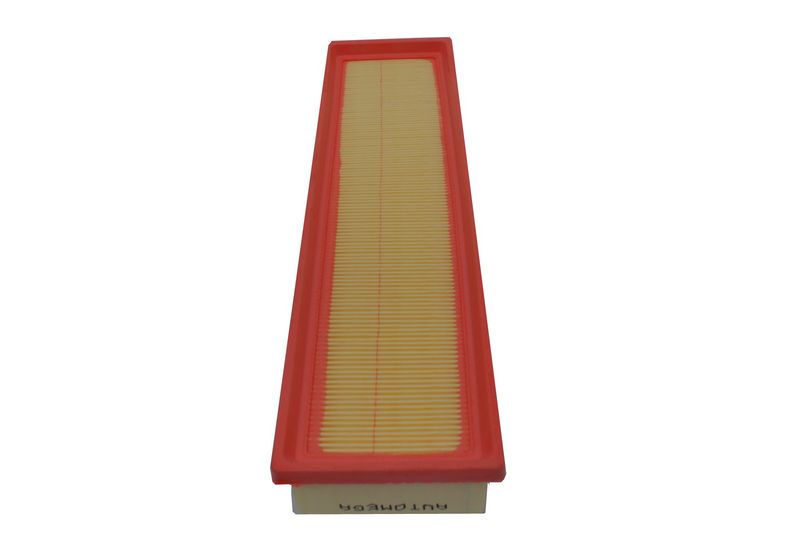 AUTOMEGA 180033810 Air Filter