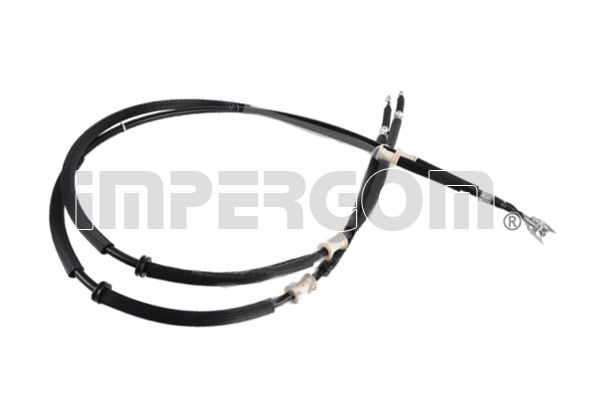 810379.JPG
