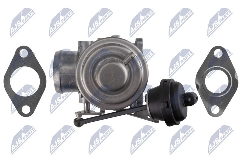 NTY EGR-VW-031 EGR Valve
