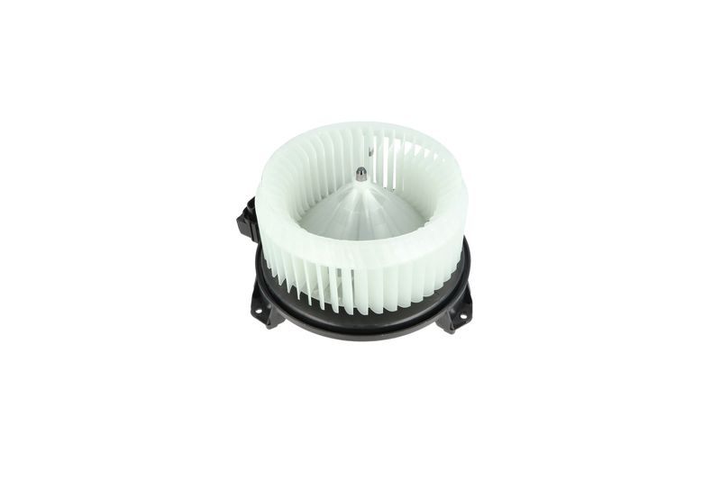 Salongipuhur, NRF 34244