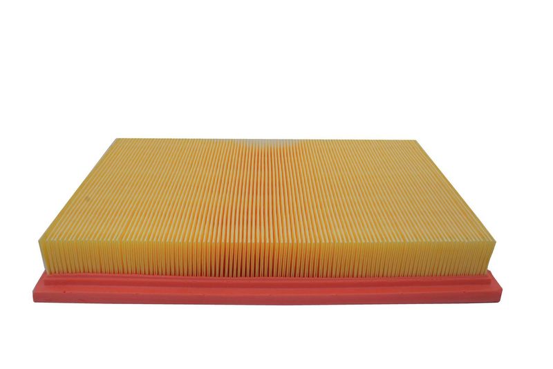 AUTOMEGA 180021010 Air Filter