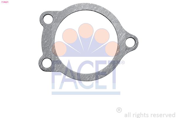 Garnitura termostat 7.9621 FACET