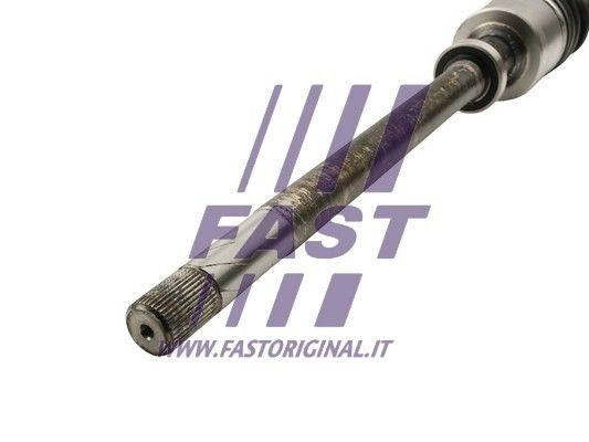 FT27191_3_1.JPG