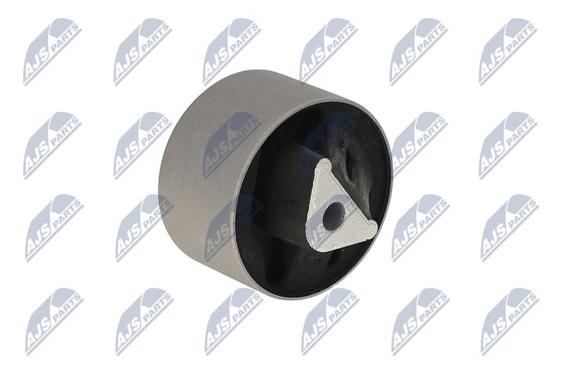 Paigutus, Mootor, NTY ZPS-CH-039