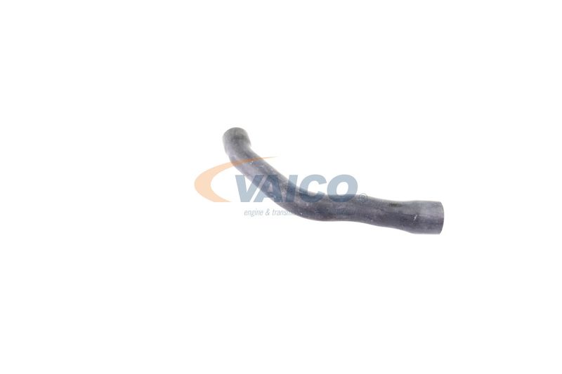 VAICO V30-2099 Radiator Hose
