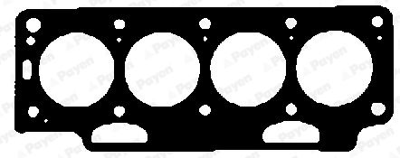 BL980_19950.JPG
