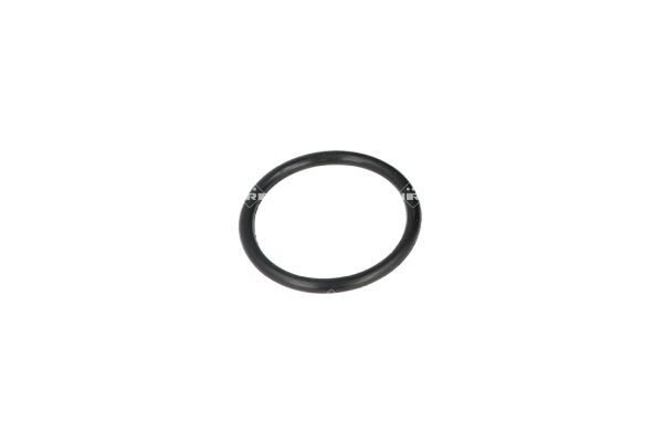 NRF 725116 Thermostat, coolant