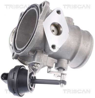 TRIS881329309_2.JPG