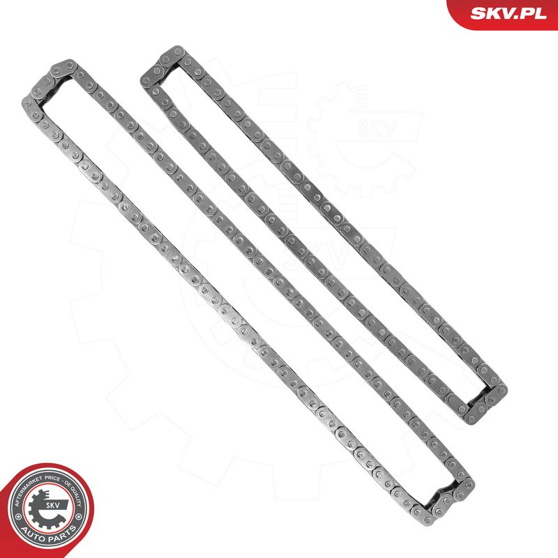 Mootori keti komplekt, ESEN SKV 21SKV286