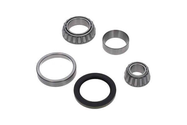 Kavo Parts WBK-10040 Rato guolio komplektas