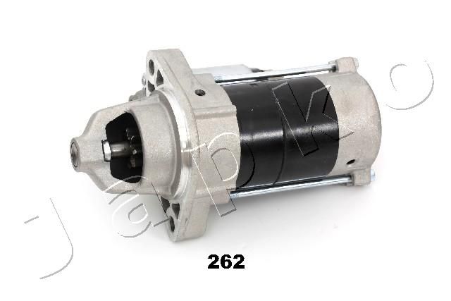 3Z262_1.JPG